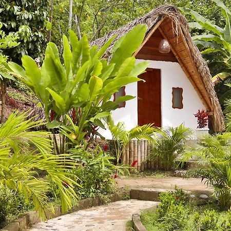 Eco Hotel Amanecer Tayrona Zaino Kültér fotó