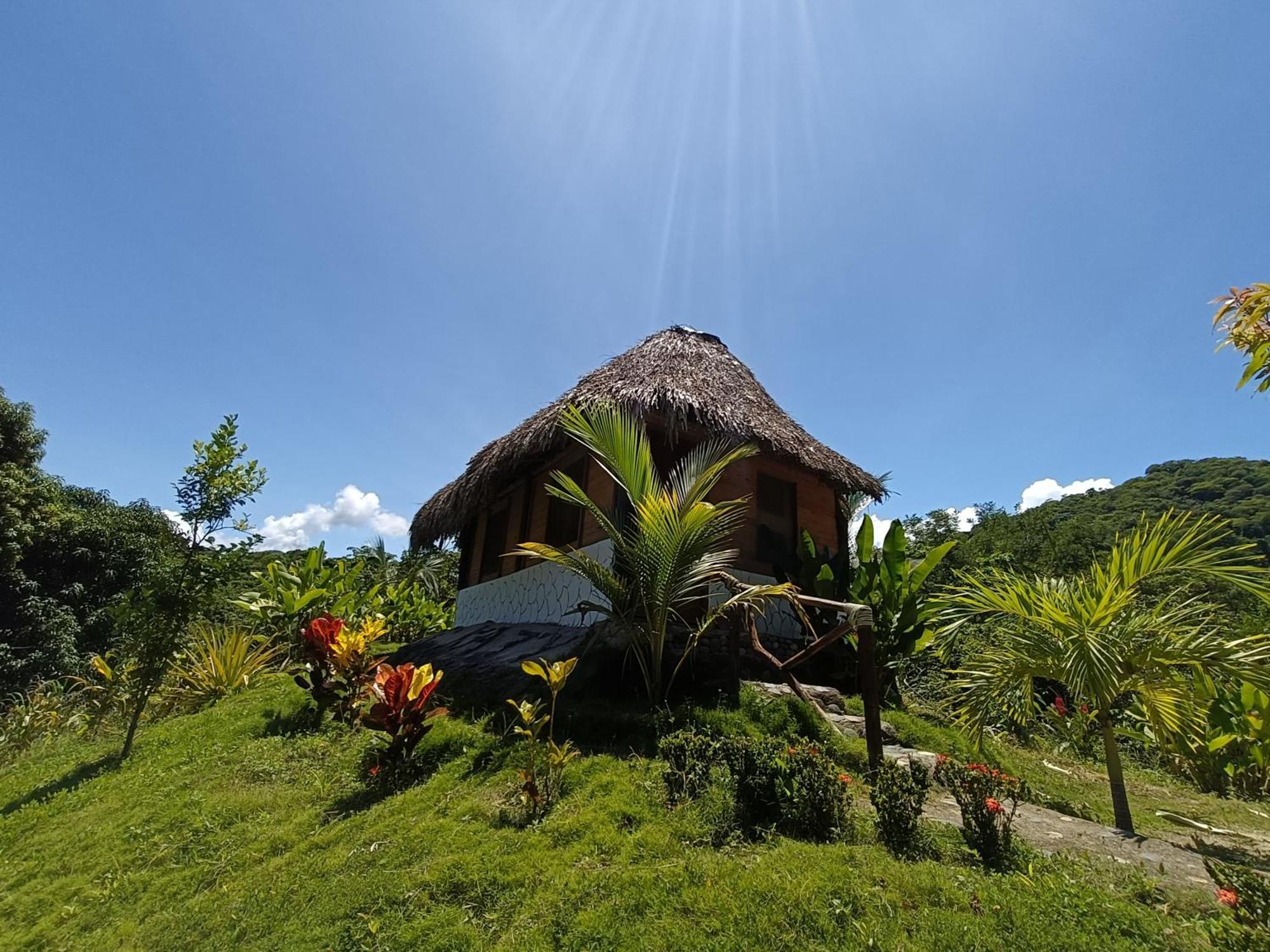 Eco Hotel Amanecer Tayrona Zaino Kültér fotó