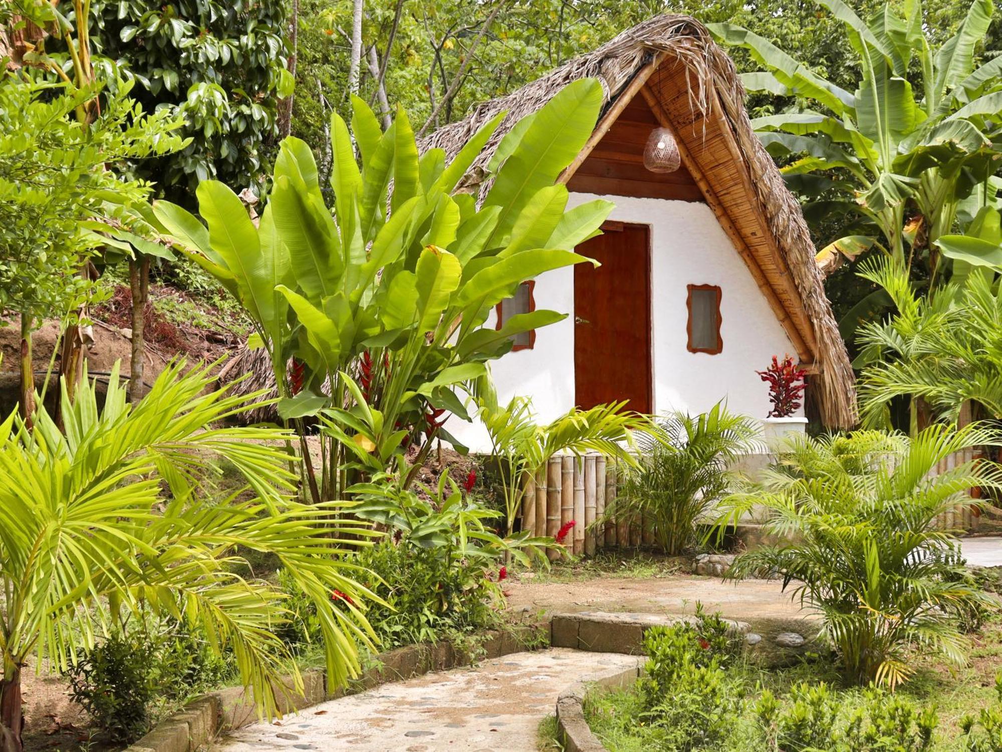 Eco Hotel Amanecer Tayrona Zaino Kültér fotó